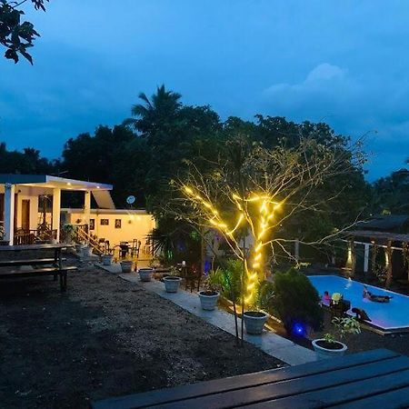 Lily Resort Udawalawe Exteriör bild
