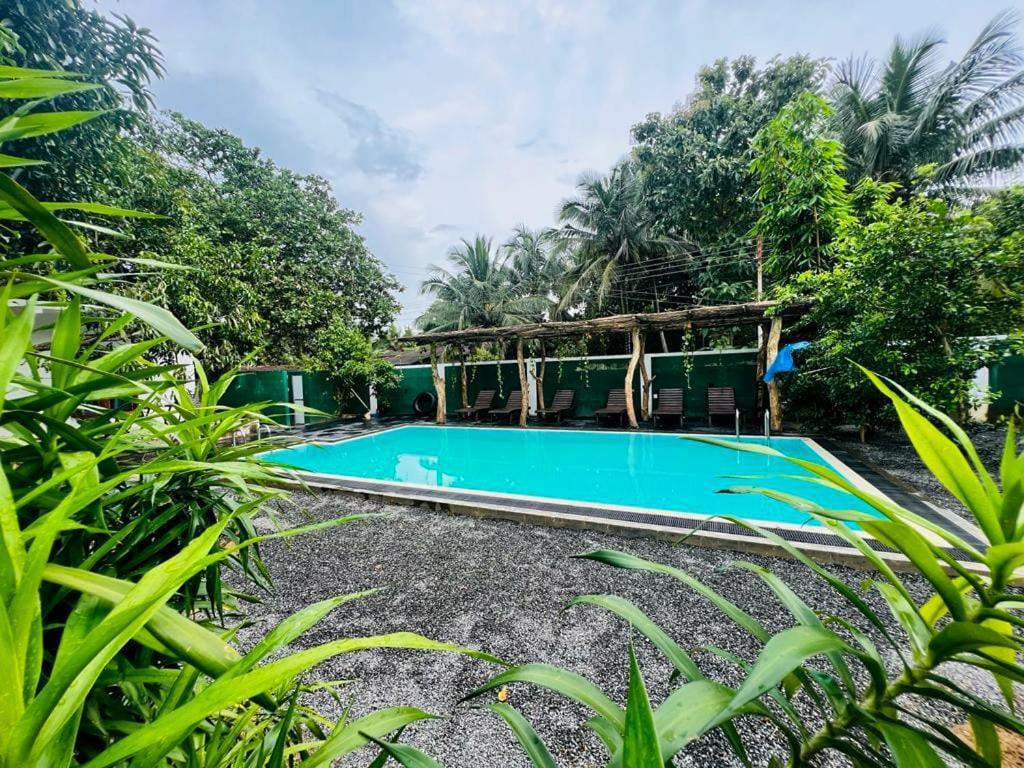 Lily Resort Udawalawe Exteriör bild